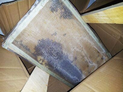 南京機(jī)場(chǎng)安檢機(jī)檢測(cè)查堵千余只小蜜蜂