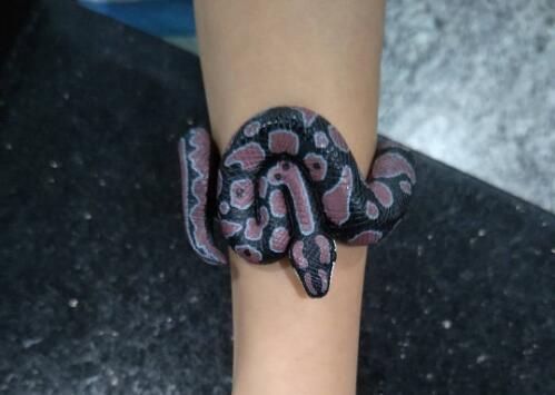 金屬探測門廠家：白云機場安檢驚現“小蛇”！